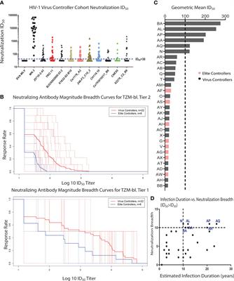 Polyclonal Broadly Neutralizing Antibody Activity Characterized by CD4 Binding Site and V3-Glycan Antibodies in a Subset of HIV-1 Virus Controllers